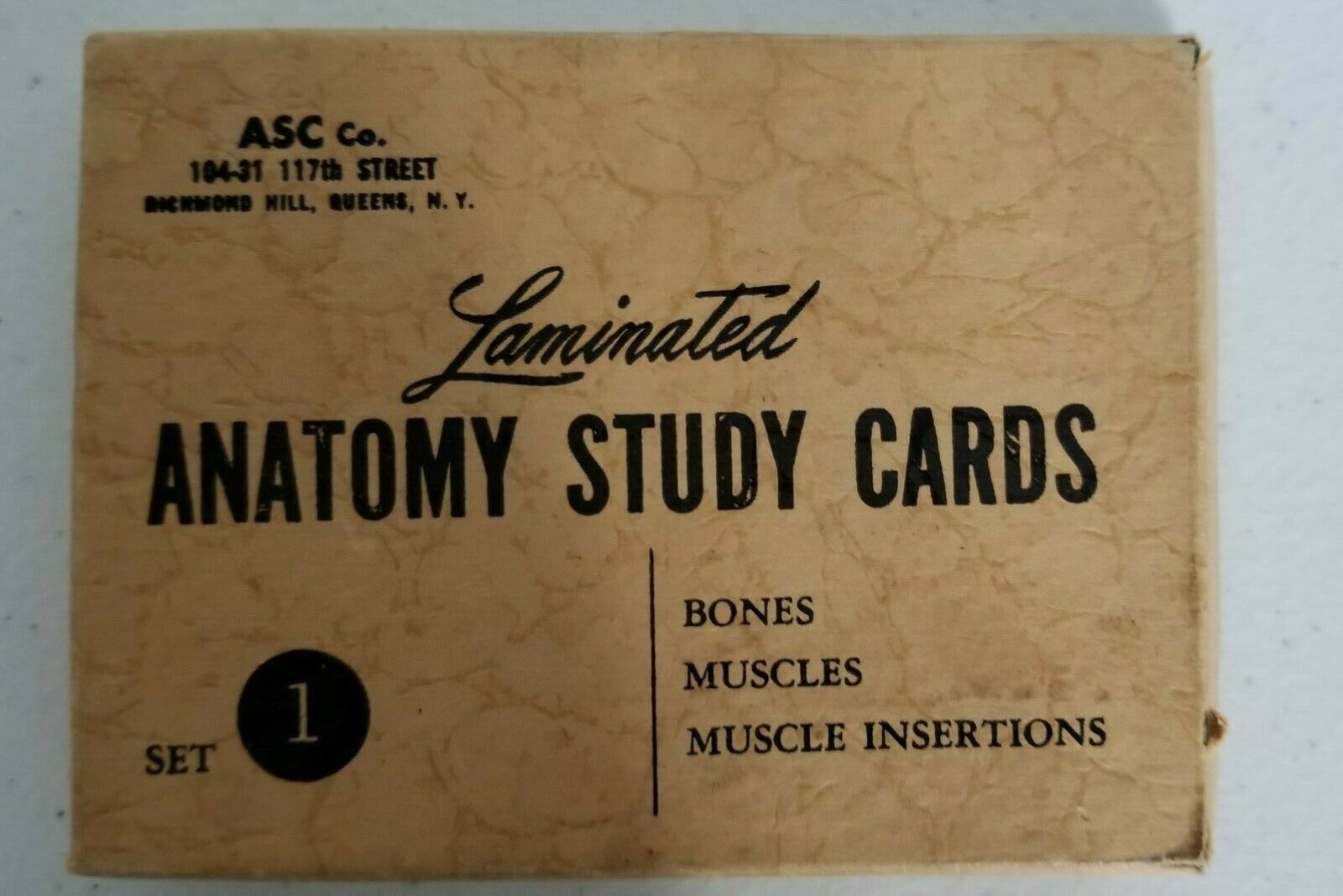 Vintage 1956 Laminated Anatomy Study Cards.  Set 1, 21-cards Two Sided