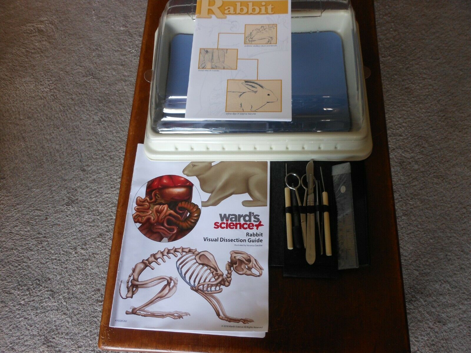 Dissection Kit For Rabbit By Ward Science Tray - Tools - Instructions
